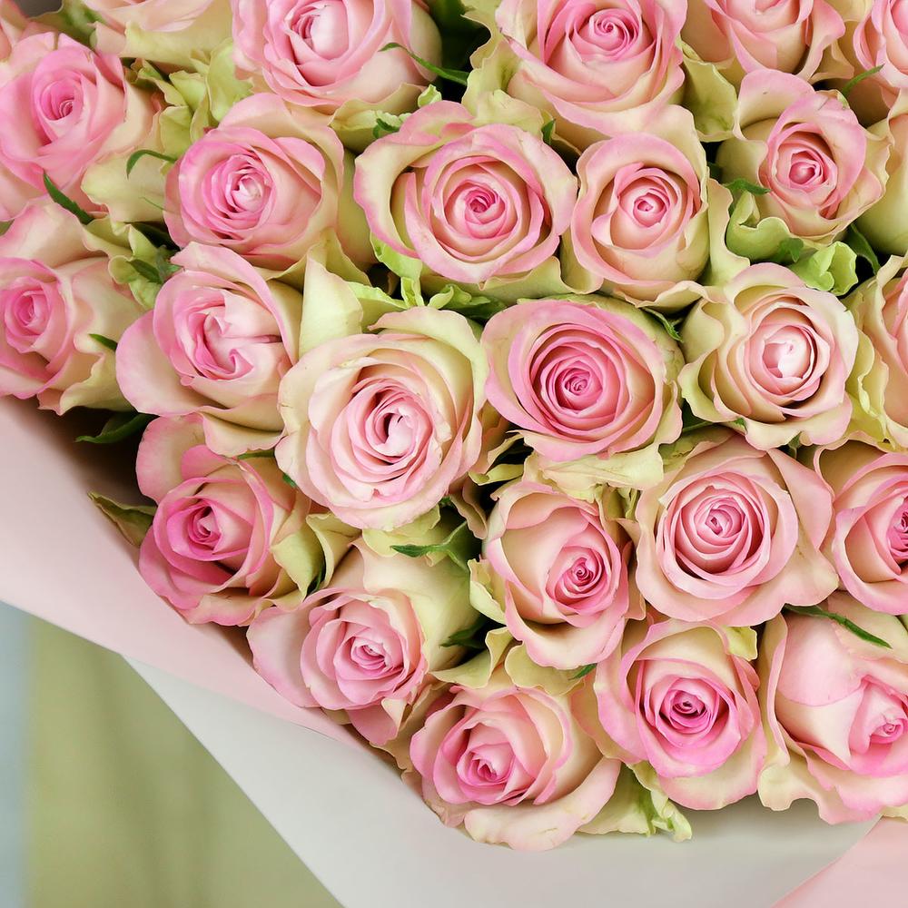 Pink roses – Theflowerslovers