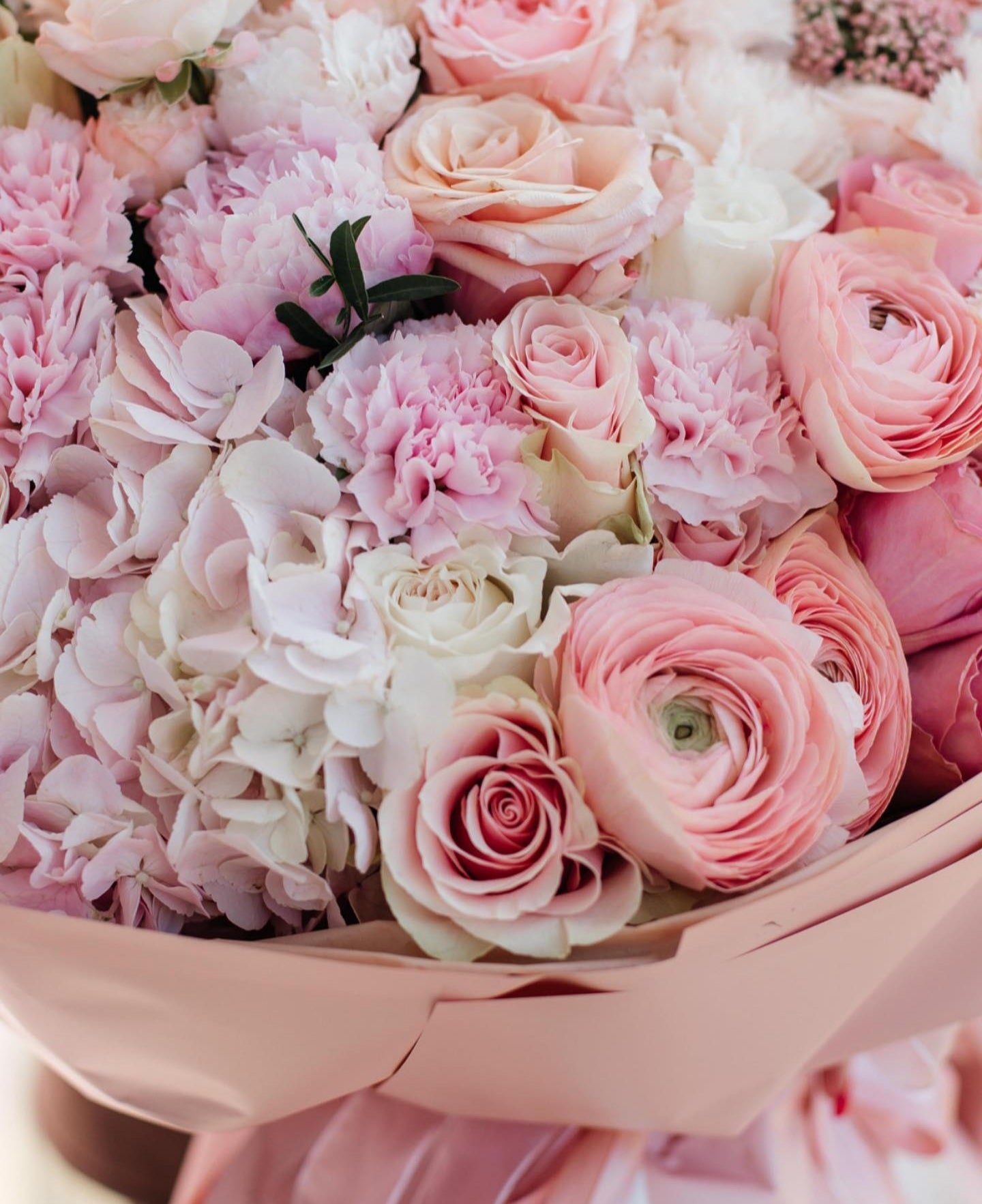 FLORIST'S CHOICE – Theflowerslovers FLORIST'S CHOICE – Theflowerslovers